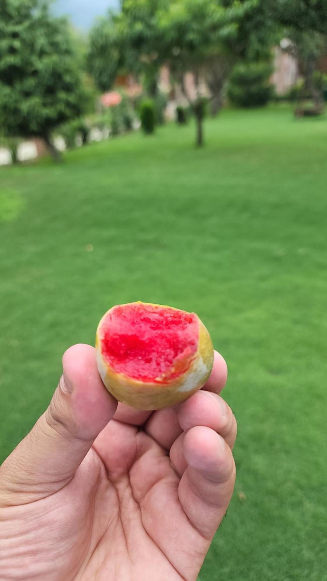 Srīnagar The Orchard Retreat & Spa מראה חיצוני תמונה